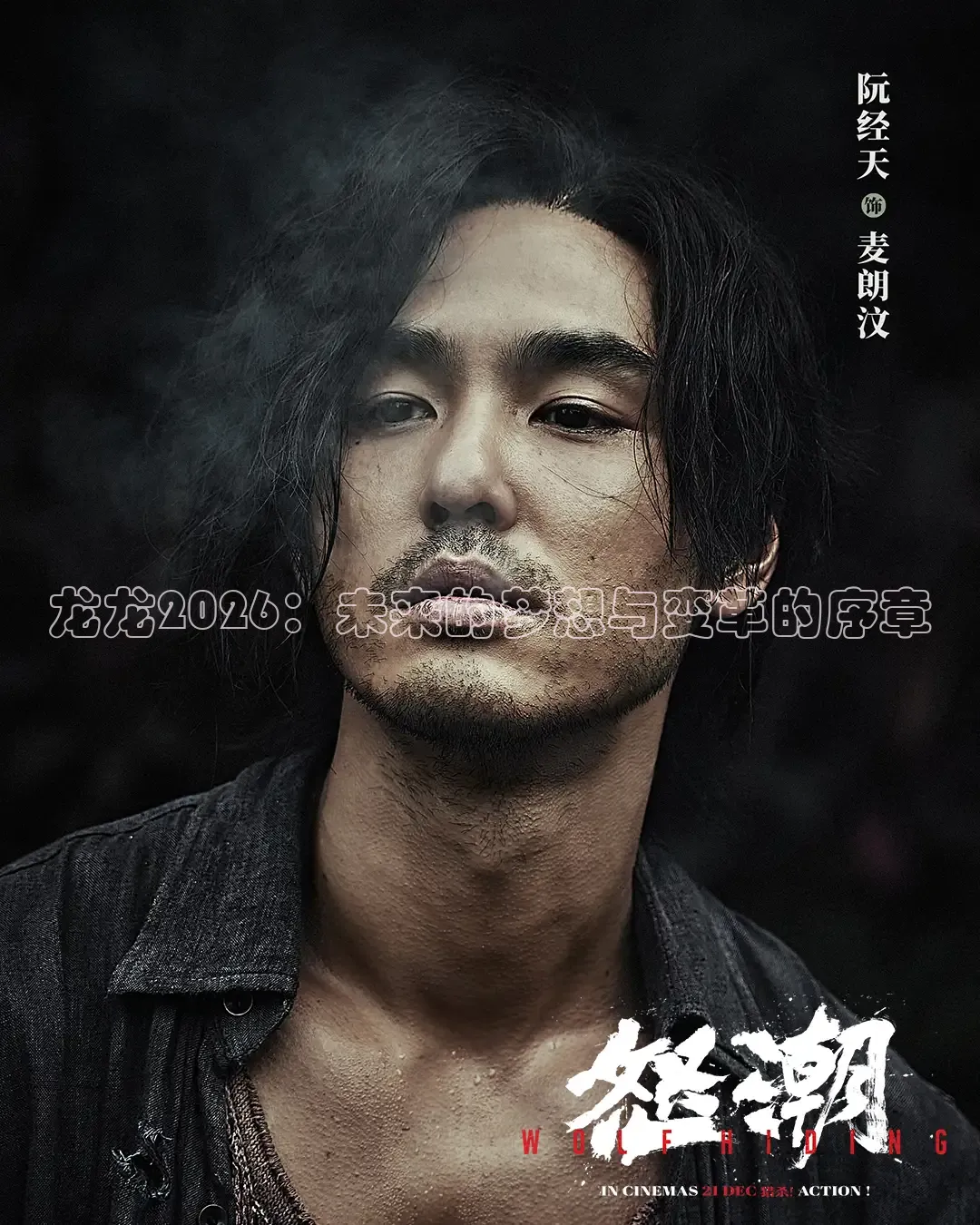 龙龙2026：未来的梦想与变革的序章